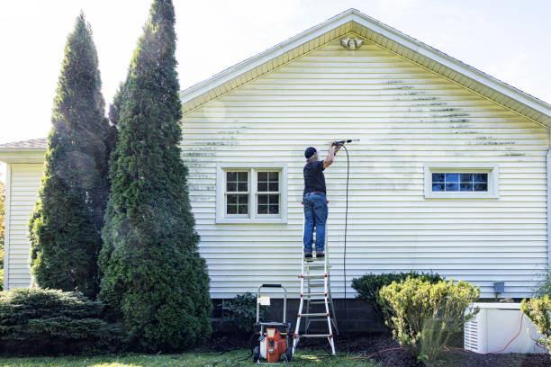 Best Gutter Cleaning  in Galliano, LA